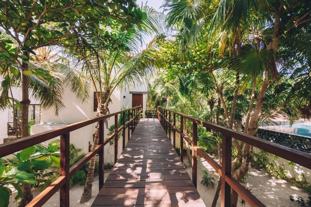 Chiringuito Tulum Hotel