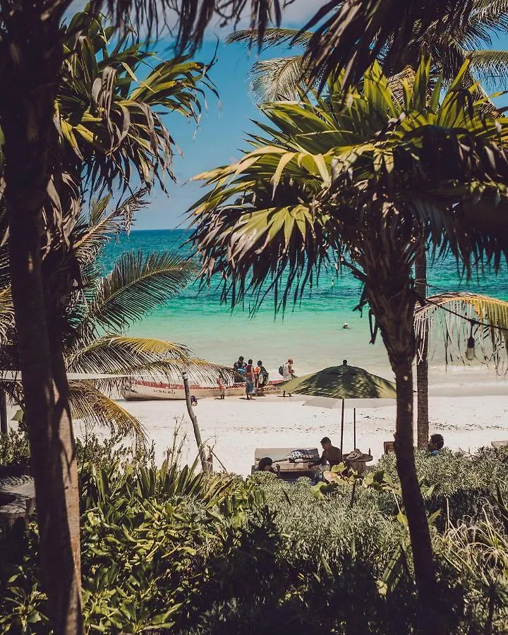 Chiringuito Tulum Hotel
