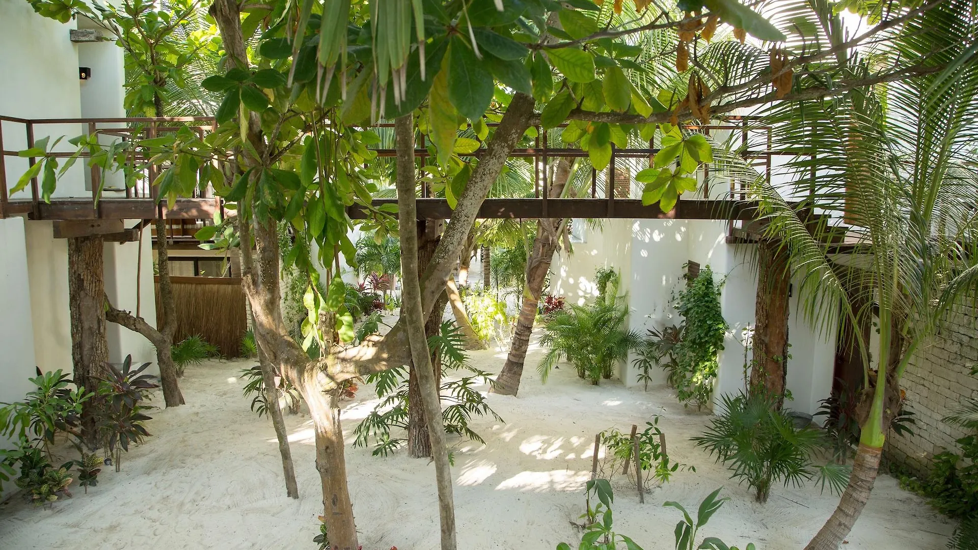 ****  Chiringuito Tulum Hotel Mexico