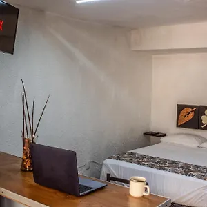 Refugio Agradable En Chapalita Estilo Clasico 12 , Guadalajara México